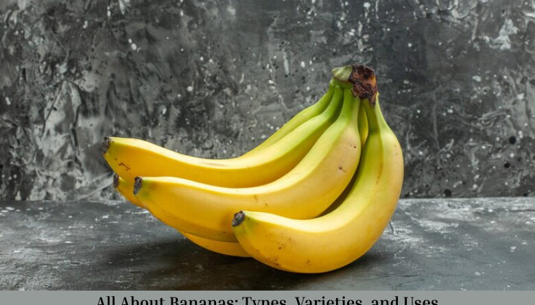 All About Bananas: Types, Varieties, and Uses