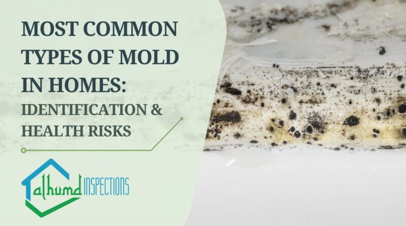 A Comprehensive Guide to Identifying Mold Types