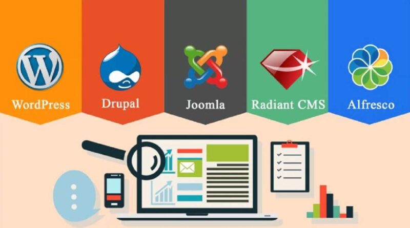 CMS development services