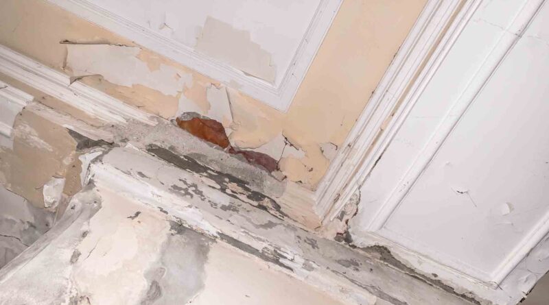 Does A Leaky Roof Cause Mold?