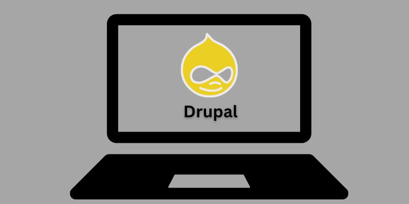 Drupal development services