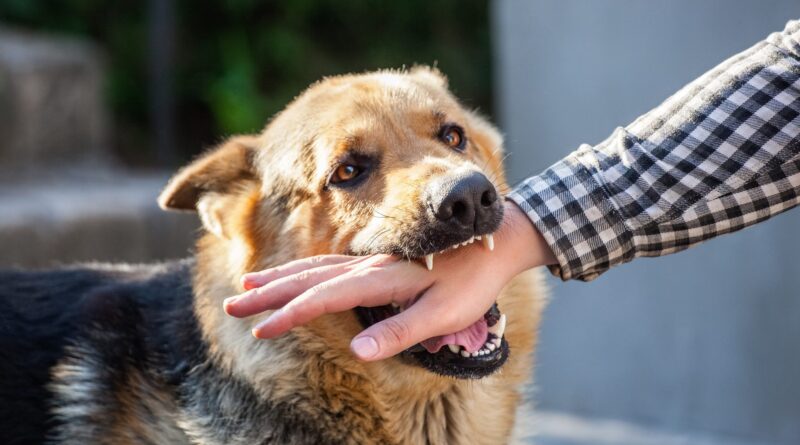 Employee Dog Bite Prevention