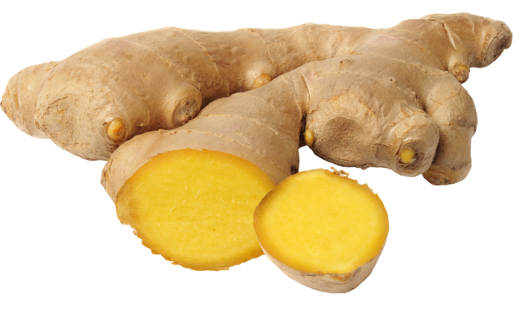 Global Ginger Market Size Forecast 2024 2030 Industry Trends Share Growth Insight Impact of Inflation Company Analysis