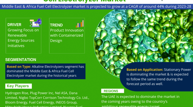 Middle East & Africa Fuel Cell Electrolyzer Market