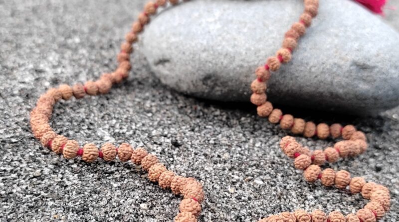 How To Choose The Right Rudraksha Based On The Zodiac Sign