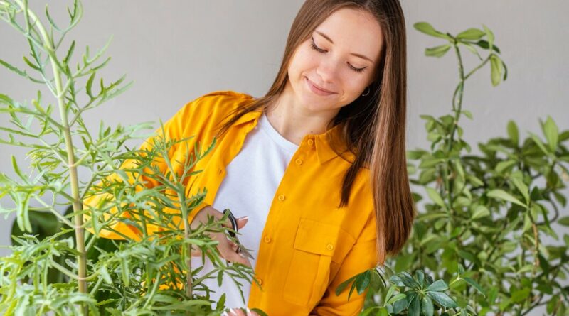 young woman taking care green plants 23 2148851342