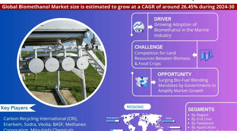 Global Biomethanol Market