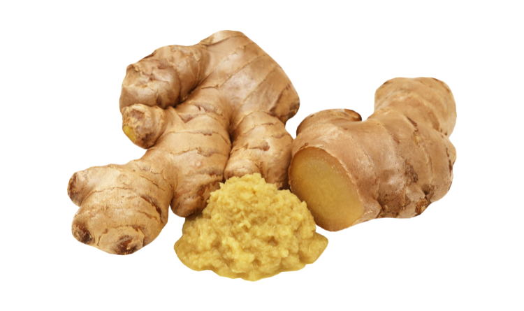 Global Ginger Market Size Forecast 2024 2030 Industry Trends Share Growth