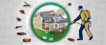 Pest Treatment Services