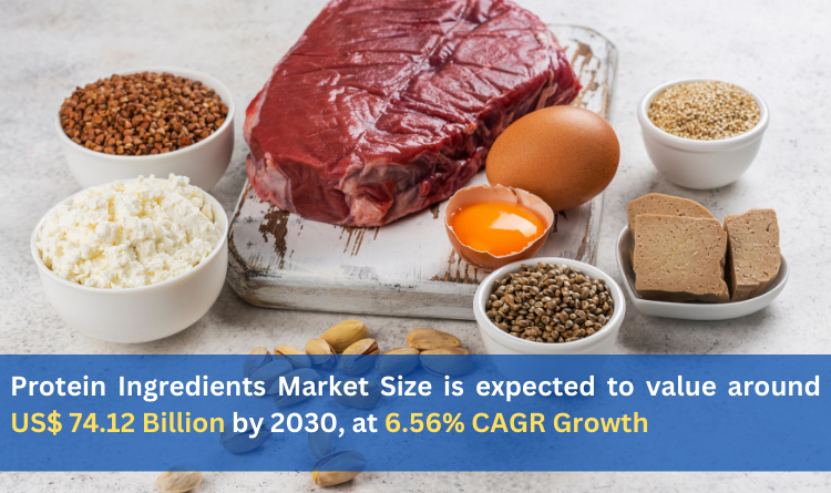 Protein Ingredients Market Size is expected to value around US 74.12 Billion by 2030 at 6.56 CAGR Growth
