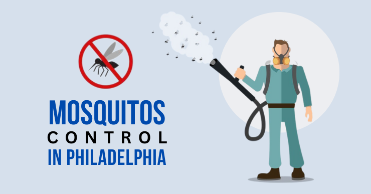 Mosquito Control in Philadelphia