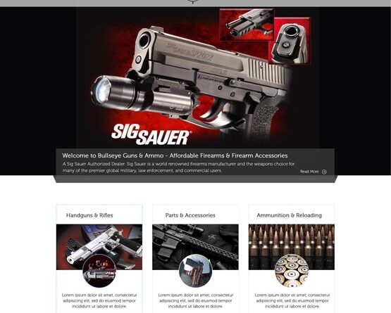 Build a Professional Gun-Friendly Website with Ease