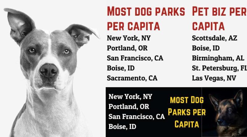 Study finds Arizona city is most pet-friendly in entire country