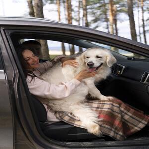 pet transport uk