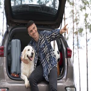 pet transport uk