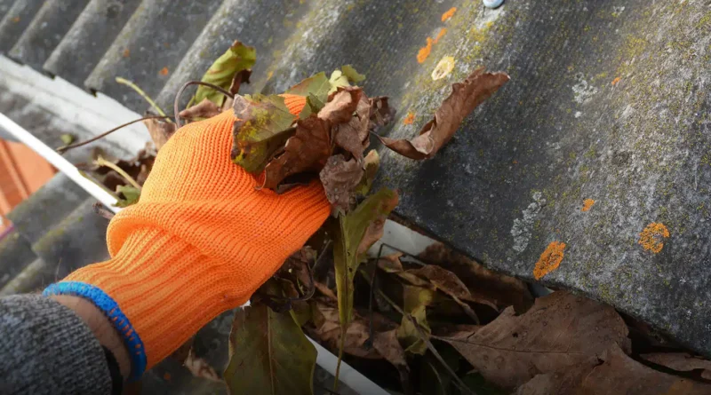 gutter cleaning pawleys island sc