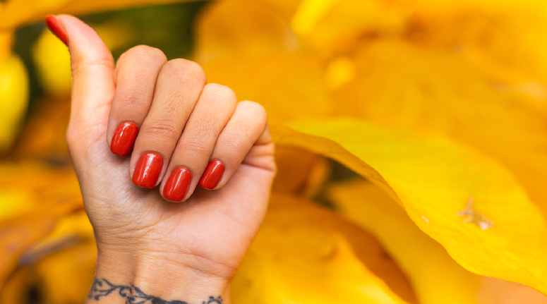 Nail Henna Colour