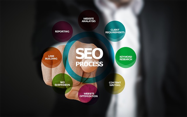 Seo service in noida